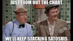 Just Zoom Out The Chart We'll Keep Stacking Satoshis
