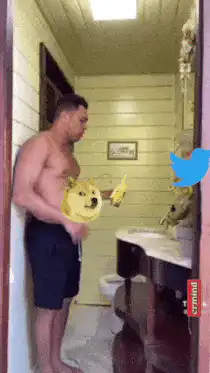 Man pours doge into sink