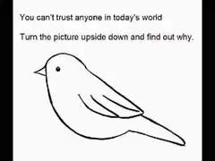 Bird upside down is a man