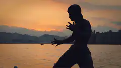 Bruce Lee silhouette sunset