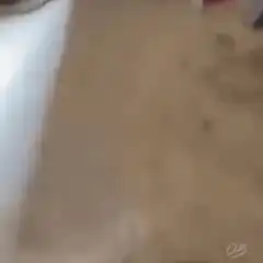 Bitcoin chicken with laser eyes