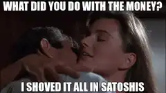 What did you do with the money? I shoved it all in satoshis