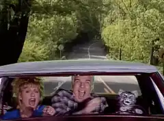 Couple and cat screaming in car