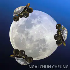 Turtles on wheels around the moon