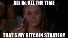 All In Bitcoin Strategy Meme