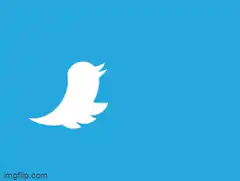 Twitter bird gets shot by ostrich