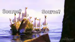 Seagulls asking Source?