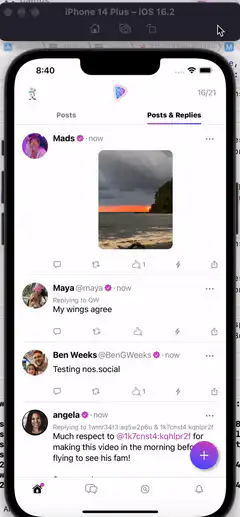 User posts a video link on nostr