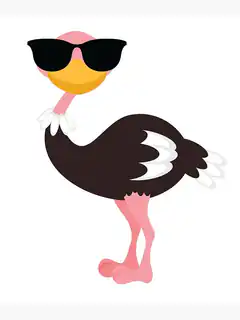 Cool Ostrich in Sunglasses
