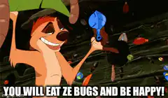 Timon telling you to eat bugs