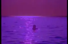 Silhouette in purple ocean