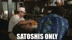 Satoshi's Only oranges