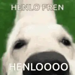 Henlo Fren Dog Nose