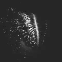 Shattered glass fingerprint