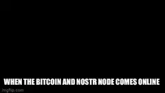 Nostr node comes online