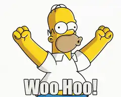 Homer Simpson Woo Hoo